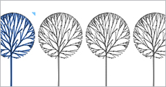 Copy Array
