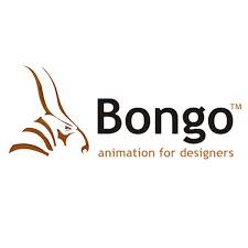 bengo-rhino-logo-small