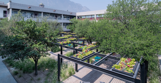 Market-Landscape-Design.-LaPlayita-JoshuaAscencio-Home-Thumbnail.-Image-TheRaws